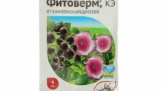 Phyteerm: како да се одгледуваат и користат за растенија